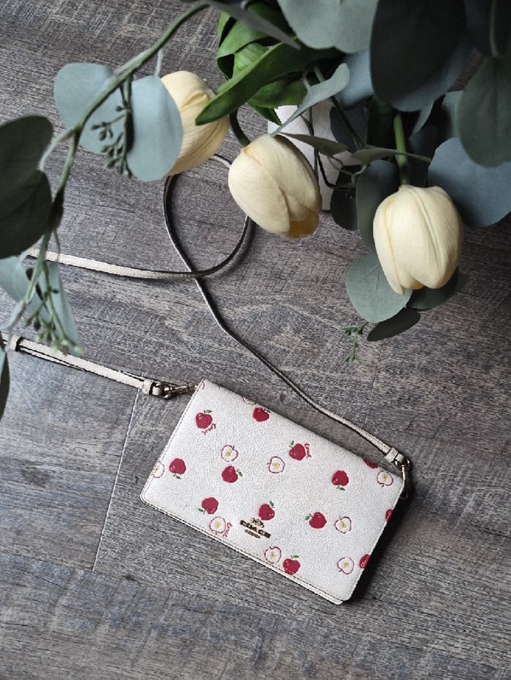 Coach Anna Foldover Clutch Crossbody Bag in a white color with a red apple print - Picture 3 of 16